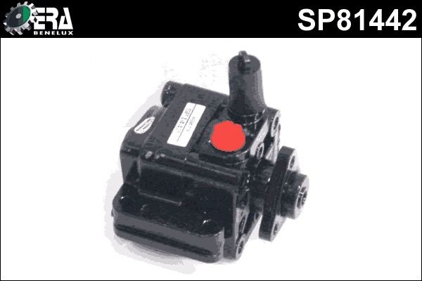 SP81442 ERA Benelux
